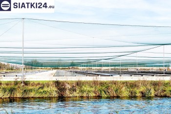 Siatki Kwidzyń - Siatka ochronna na zbiornik z rybami, efektywne zabezpieczenie przed ptakami dla terenów Kwidzynia