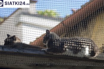 Siatki Kwidzyń - Siatka na balkony dla kota i zabezpieczenie dzieci dla terenów Kwidzynia