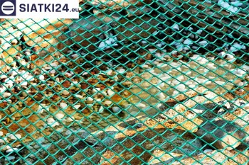 Siatki Kwidzyń - Siatka na oczko wodne przydomowe w ogrodzie dla terenów Kwidzynia
