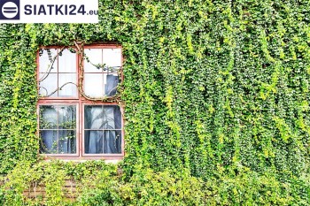 Siatki Kwidzyń - Siatka z dużym oczkiem - wsparcie dla roślin pnących na altance, domu i garażu dla terenów Kwidzynia