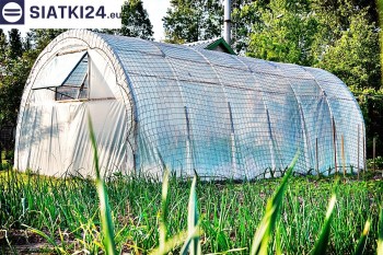 Siatki Kwidzyń - Zabezpieczenie foli na tunelu dla uprawy warzyw przed wiatrem dla terenów Kwidzynia